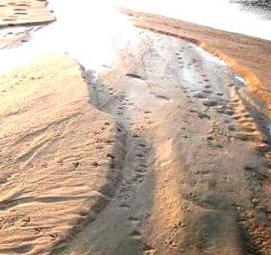 Песок средней крупности Волгоград