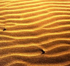 Золотой песок Ульяновск