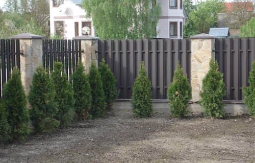 штакетник для забора