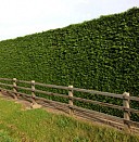 Исследование рынка кофе Бийск