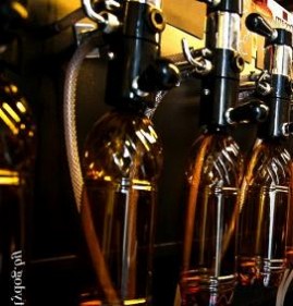 Аренда пивного оборудования для магазина разливного пива Псков