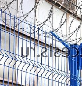 Армированная колючая лента АКЛ типа Репейник Владивосток