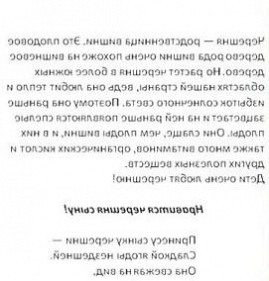 саженец черешня сильвия  Санкт-Петербург