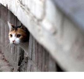 Дезинфекция после прорыва канализации Уфа