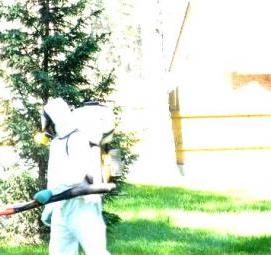 Дезинсекция участка от клещей Колпино