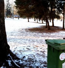 Емкость для сбора бытовых отходов Миасс