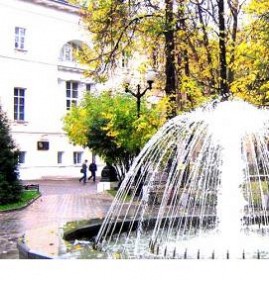 фонтаны для загородного дома уличные Хабаровск