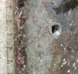 Испытание бетона неразрушающим методом Самара