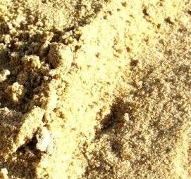 Намывной песок Калининград