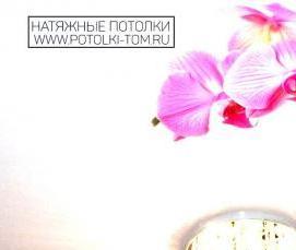 Натяжные потолки с фотопечатью Кемерово