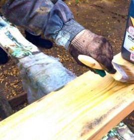 Обработка древесины от грибка и плесени Новосибирск