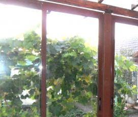 Остекление раздвижными алюминиевыми окнами Тольятти