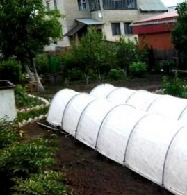Парник 2 на 4 Альметьевск
