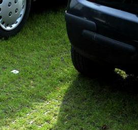 Пластиковые газонные решетки для парковки Омск