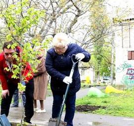 Посадка деревьев на придомовой территории Железнодорожный