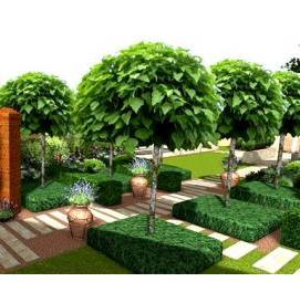 Проектирование садового участка Москва
