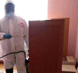 Профессиональная дезинсекция Астрахань