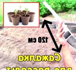 сажалка для рассады Абакан