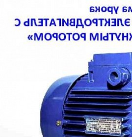 синхронный электродвигатель с короткозамкнутым ротором Чита