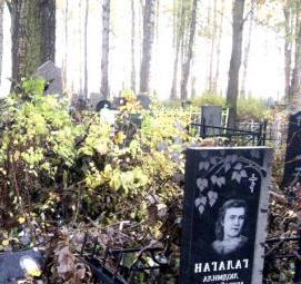 спил деревьев на кладбище Грозный