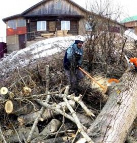 спил деревьев на участке Красноярск