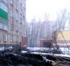 спил деревьев возле частного дома Москва