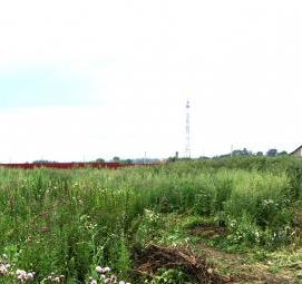 уборка территории: покос травы Екатеринбург