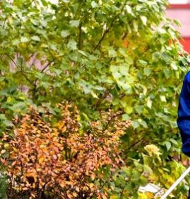 уборка территорий сада Ульяновск