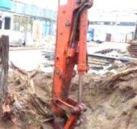 удаление деревьев химическим способом Брянск