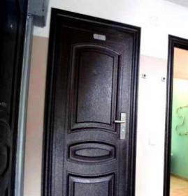 Входная дверь в квартиру с зеркалом Орёл