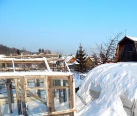 Зеленая теплица Нижний Новгород