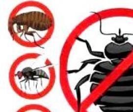 Аэрозольная дезинсекция - вариант 1