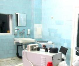 Аэрозольная дезинсекция - вариант 3