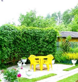 Аграрный ландшафтный дизайн - модель 3