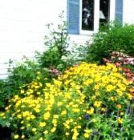 Агропленка - тип 3