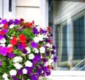 Ампельное озеленение - тип 1