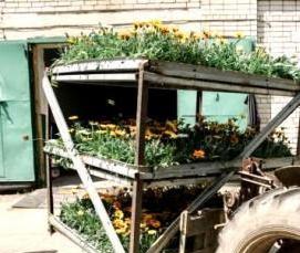 Амурские теплицы - модель 4