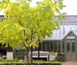 Английская теплица - модель 4