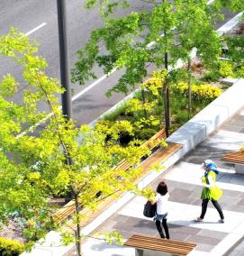 Архитектурное озеленение - модель 2