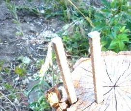 Арматура композитная гнутая - вариант 1