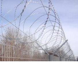 Армированная колючая лента - модель 1