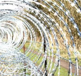Армированная колючая лента - модель 3