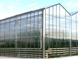 Балтийские теплицы - вариант 2