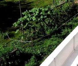 Белгородские блоки газосиликатные - тип 1