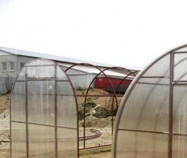 Белорусские теплицы из поликарбоната усиленная - тип 1