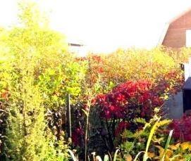 Беседка конфетка для дачи - тип 4