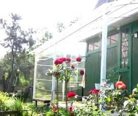 Беседка навес для дачи - тип 3