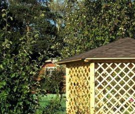 Беседки садовые для дачи деревянные - модель 1