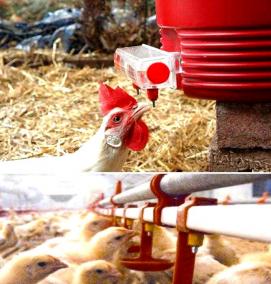 Бесшумная поилка - модель 2