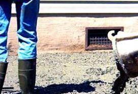 Бетон м100 - модель 1